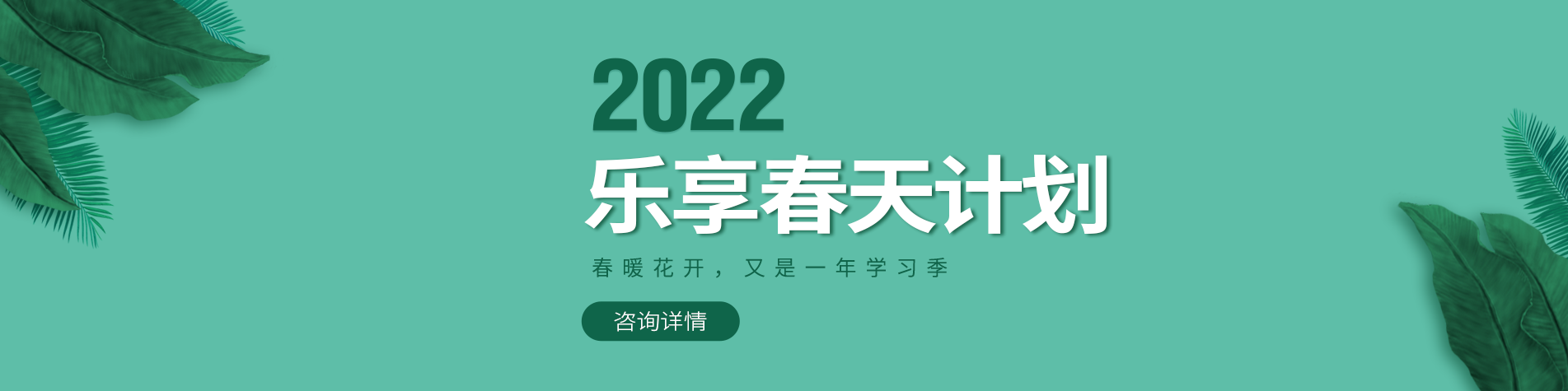 插进去了视频在线观看